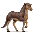 cheval sauvage pangolin