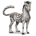 cheval sauvage panthère des neiges