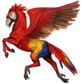 cheval sauvage perroquet