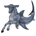 cheval sauvage requin-marteau