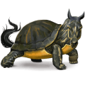 cheval sauvage tortue