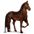 cheval divin chocolat noir