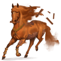 cheval divin cannelle