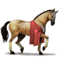 cheval de selle hunter irlandais bai cerise