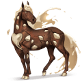 cheval divin cookie