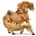 cheval de selle arabe alezan crins lavés