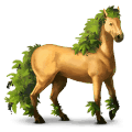 cheval de selle barbe bai