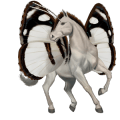 cheval de selle arabe alezan crins lavés