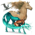 cheval de selle lusitanien bai