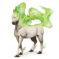 cheval des vents euros