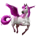 cheval falabella chiquitin