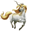 cheval divin piccolo
