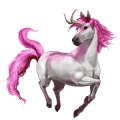 cheval divin lille