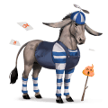 cheval de selle marwari pie overo bai cerise
