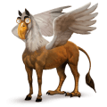 cheval de selle arabe alezan