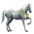 cheval de selle lusitanien isabelle