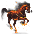 cheval divin braises