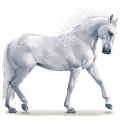 cheval de l'eau flocon