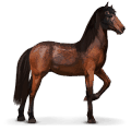 cheval sauvage garrano