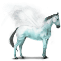 cheval de l'eau geyser