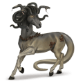 poney kerry bog bai brûlé