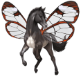 poney shetland isabelle
