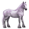 cheval divin greyfell   4