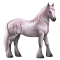 cheval divin greyfell   6