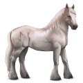 cheval divin greyfell   7