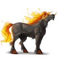 cheval de selle arabe bai cerise