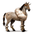 cheval de selle quarter horse bai