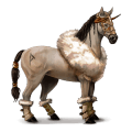 cheval de selle arabe aubère
