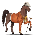cheval de selle akhal-téké rouan