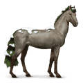 cheval des saisons hiver