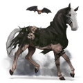 cheval de selle criollo argentin bai brûlé