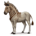 cheval préhistorique hydrontin
