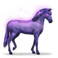cheval de l'arc-en-ciel devoted indigo