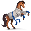 cheval divin karaté