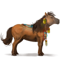 cheval de selle hunter irlandais noir