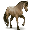 cheval sauvage lavradeiro