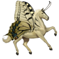 cheval de selle trotteur orlov gris truité