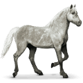 cheval du système solaire mercure