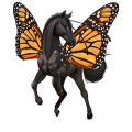 cheval de selle arabe gris pommelé
