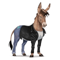 poney shetland alezan