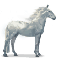 cheval de l'eau nuage