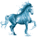 cheval de l'eau océan