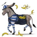 cheval de selle pure race espagnole gris pommelé