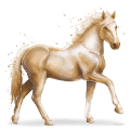 cheval des pierres précieuses perle