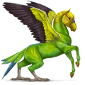 cheval sauvage perruche ondulée