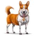 cheval sauvage welsh corgi